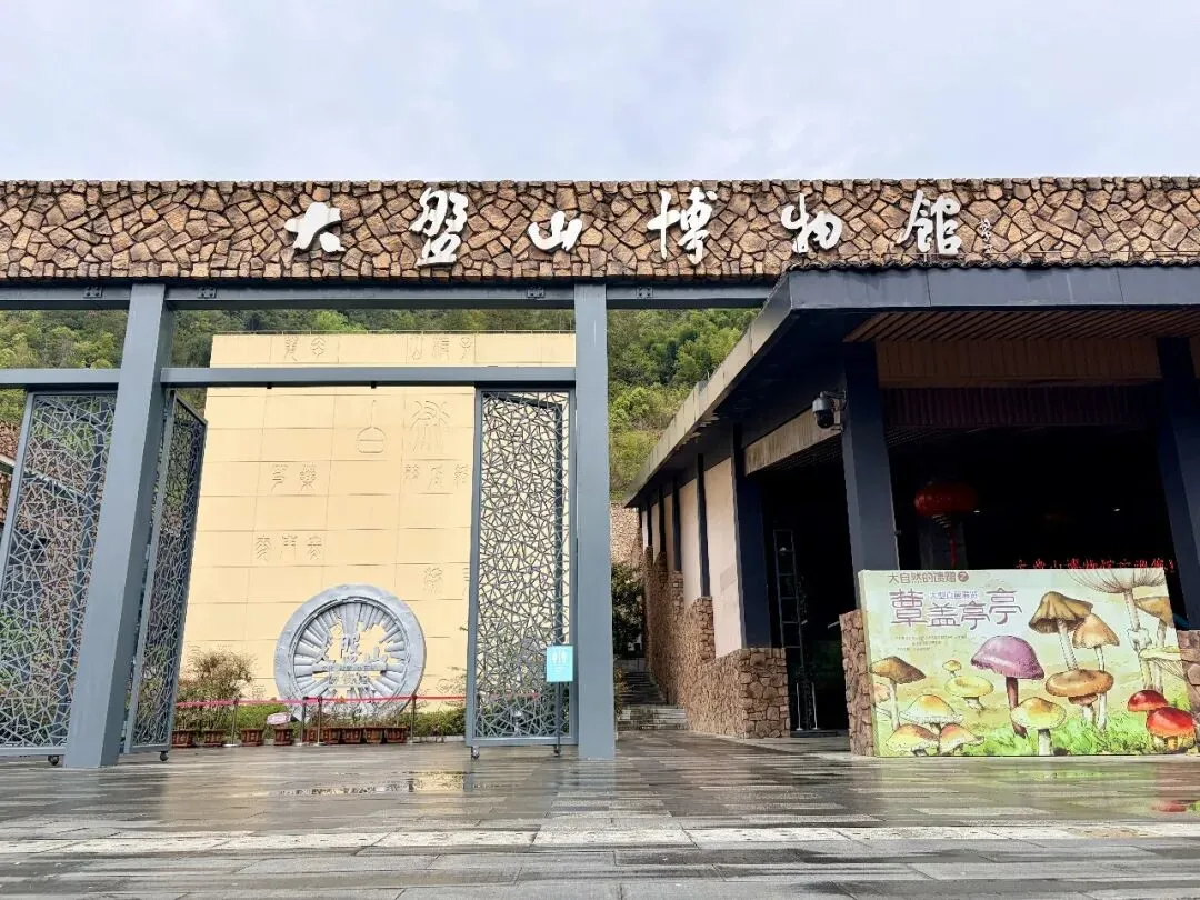 磐安 || 安文蔬菜市场-昌文塔-墨林村-大盘山博物馆