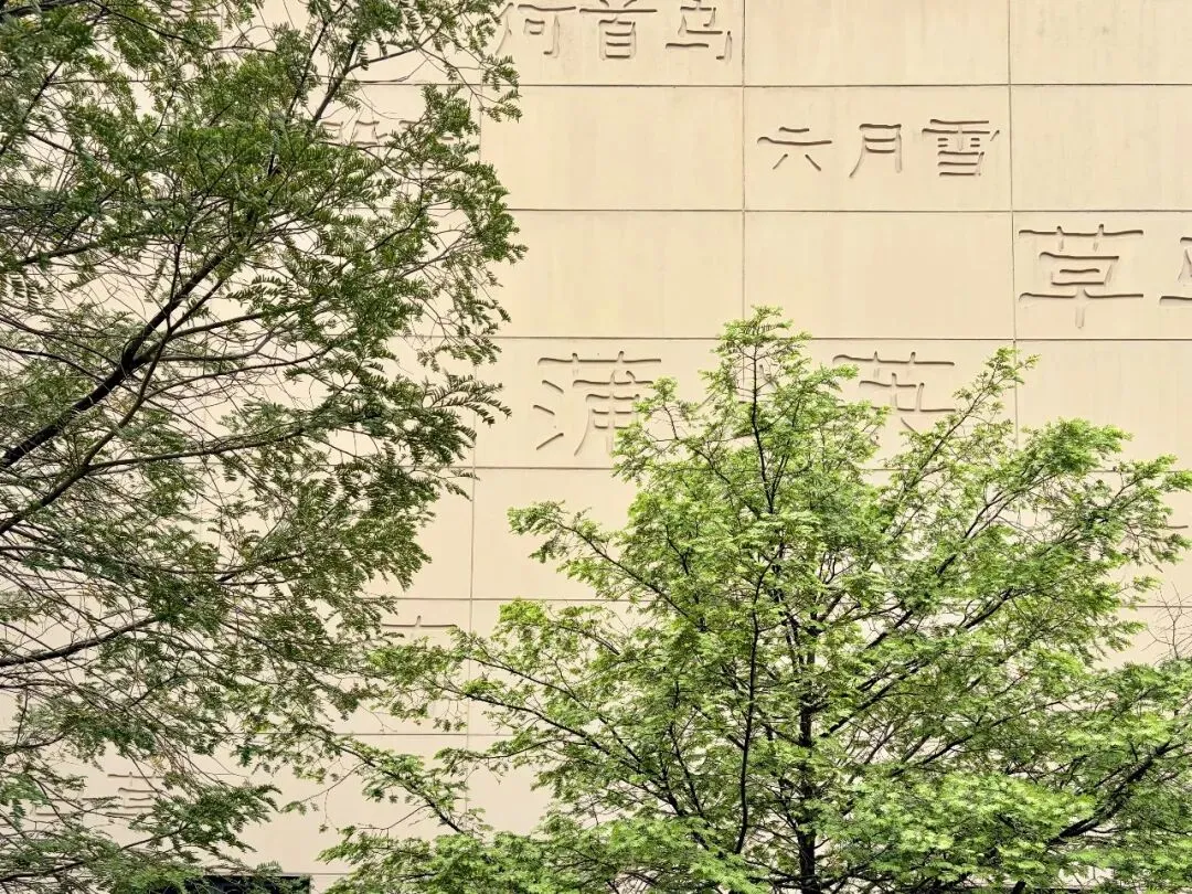 磐安 || 安文蔬菜市场-昌文塔-墨林村-大盘山博物馆