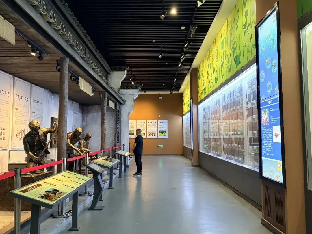 磐安 || 安文蔬菜市场-昌文塔-墨林村-大盘山博物馆