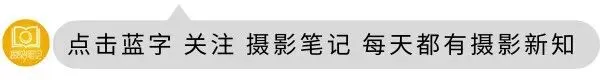 无反相机市场谁是老大?谁又是最后一名呢?