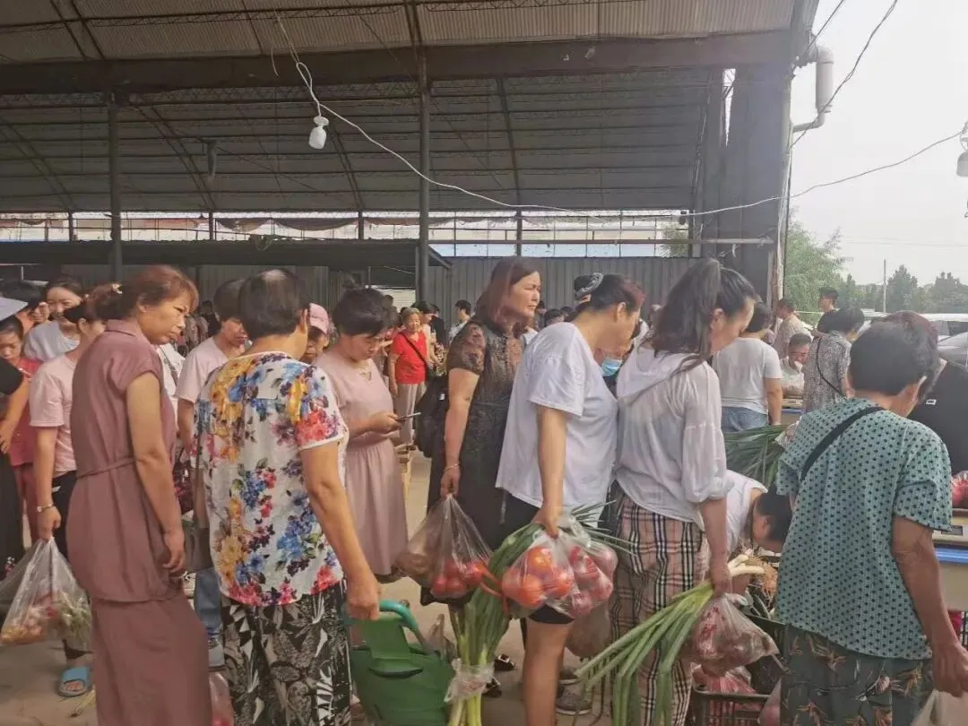 毛庄蔬菜批发市场23、24、25连续三日供应新鲜低价的蔬菜!