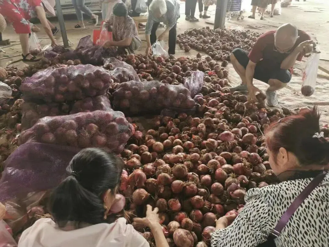 毛庄蔬菜批发市场23、24、25连续三日供应新鲜低价的蔬菜!