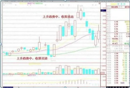 巴菲特点破A股市场:1744元的茅台和4.7元的中国石油,哪个更具备投资价值?从贫穷到财富自由