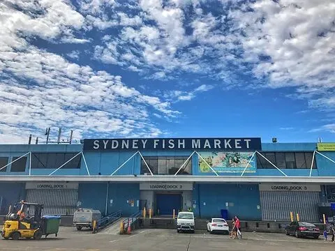 悉尼鱼市场一一澳新凯热门景点之(七)