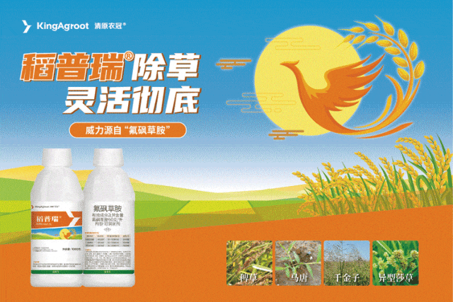 全球生物制剂市场将在本十年末冲向351亿美元,如何从全球趋势中找到中国路径?