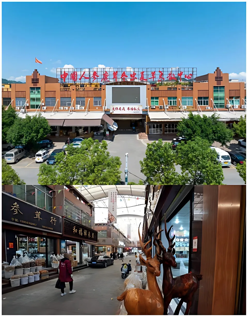 产地牵手市场·双阳与苍南开展产销对接活动