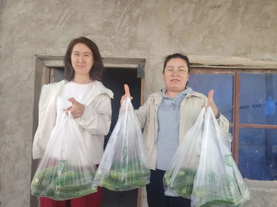 库尔勒市英下乡水果黄瓜走俏市场