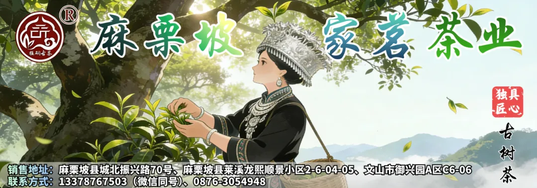 麻栗坡县市场监督管理局开展野菜安全专项检查