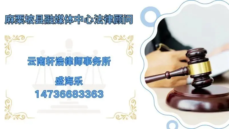 麻栗坡县市场监督管理局开展野菜安全专项检查