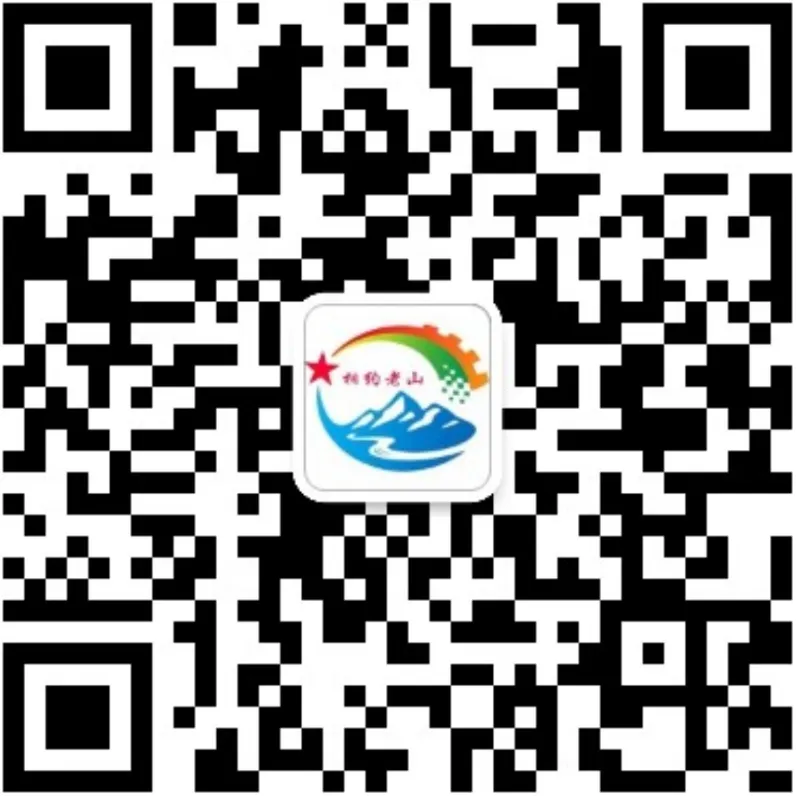 麻栗坡县市场监督管理局开展野菜安全专项检查