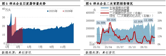 一季度生猪市场深度承压 二季度价格或延续磨底