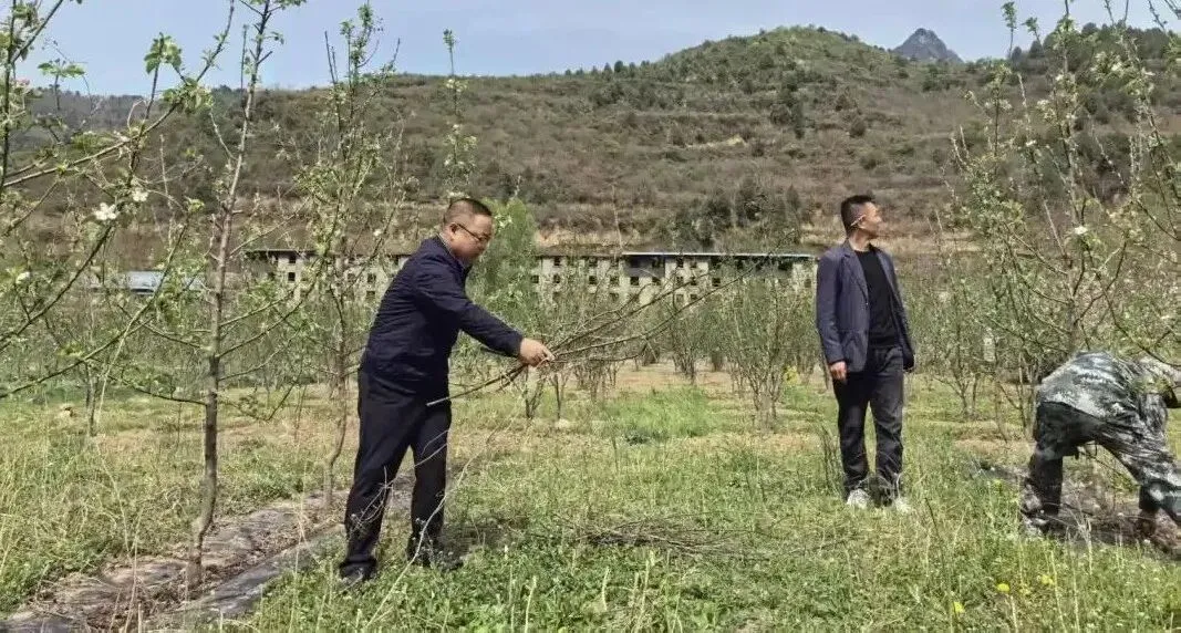 凤县市场监督管理局机关党支部开展“助农春耕暖民心”主题党日实践活动