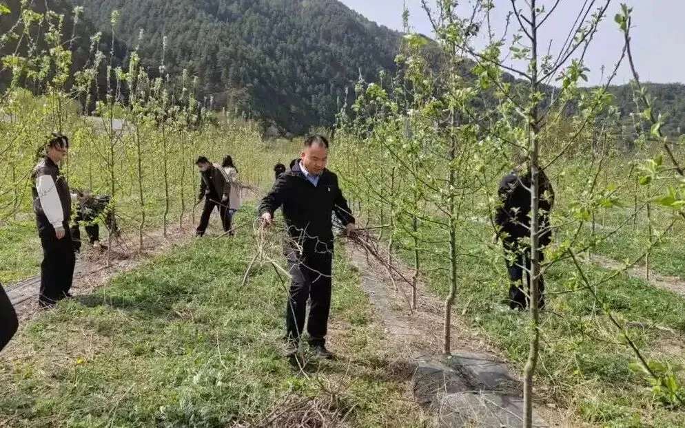 凤县市场监督管理局机关党支部开展“助农春耕暖民心”主题党日实践活动