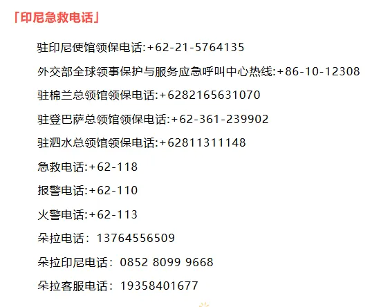 【印尼签证】年度盘点:2026印尼市场的“隐形冠军”们做对了什么?