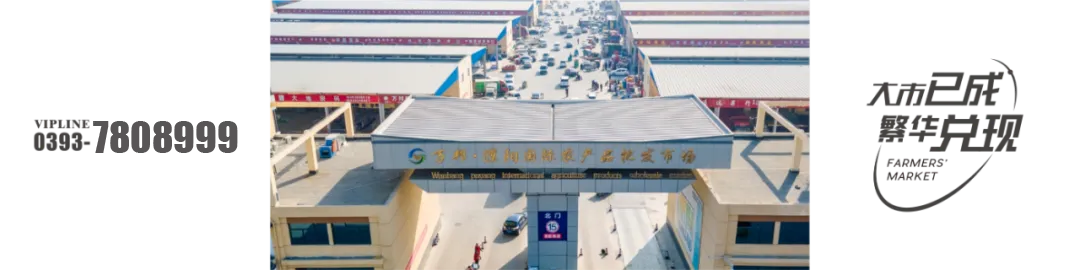 万邦市场4月15日价格及行情表