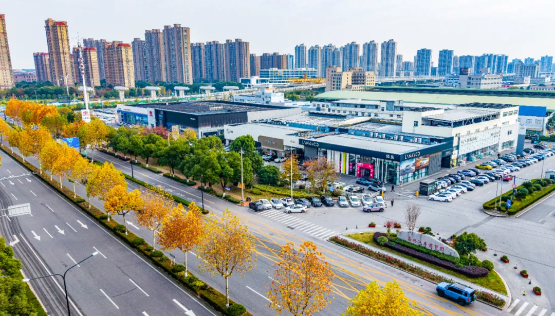 南湖新区(东栅街道)创新专业市场治理,让市场发展与城市建设“双向奔赴”