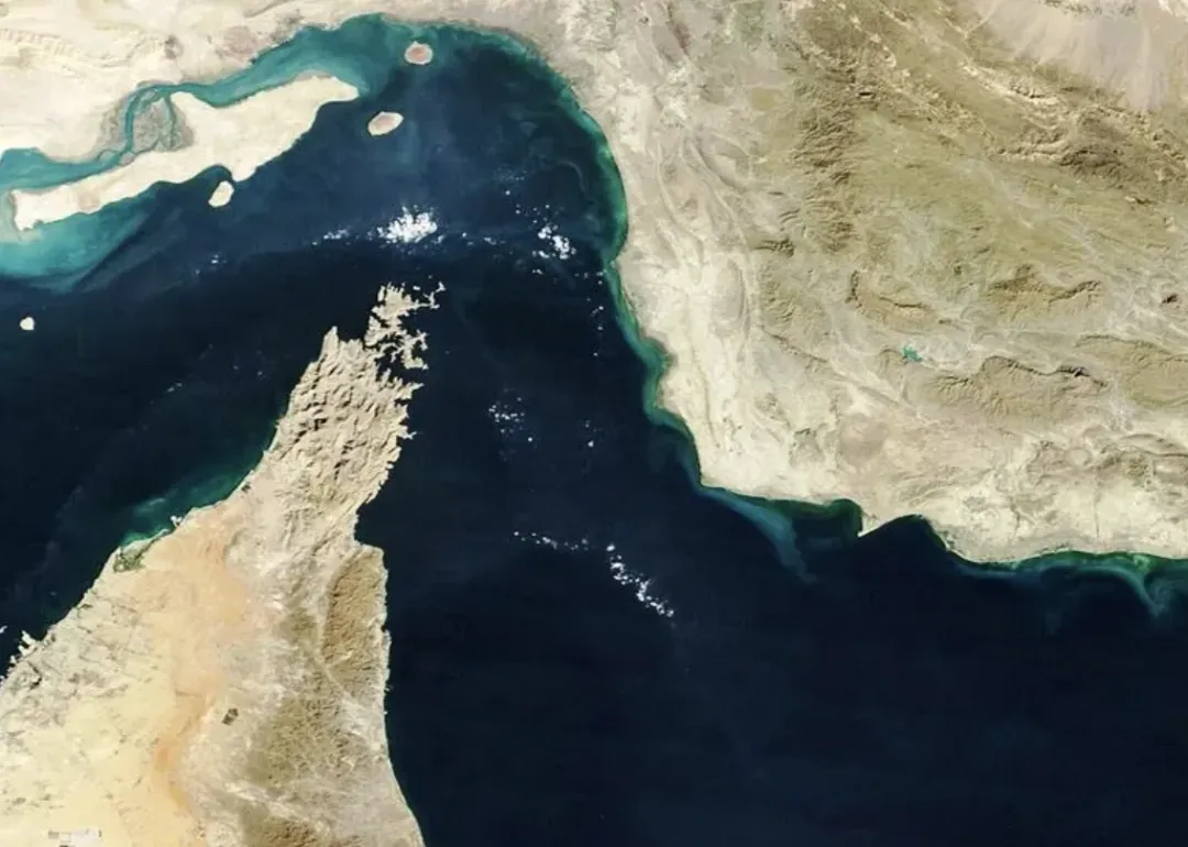 油价暴跌8%,全球市场集体反弹!