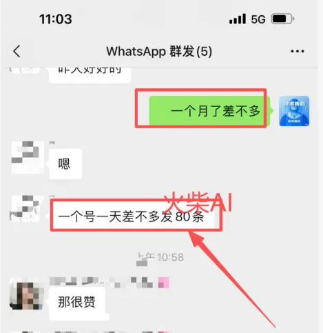 WhatsApp 营销总是秒封号?那是你还没看透“蓝标号”与“耐用号”的终极逻辑!