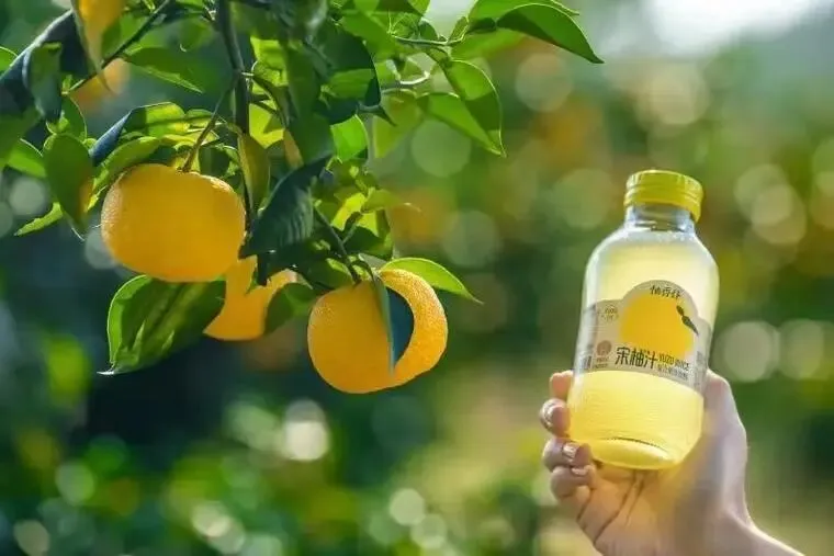 《“宋柚汁”乱象:消费欺诈还是营销噱头?》