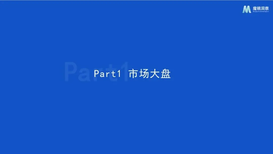 报告推荐|2025年织物与家居清洁市场趋势洞察报告(共67页 & 附下载)