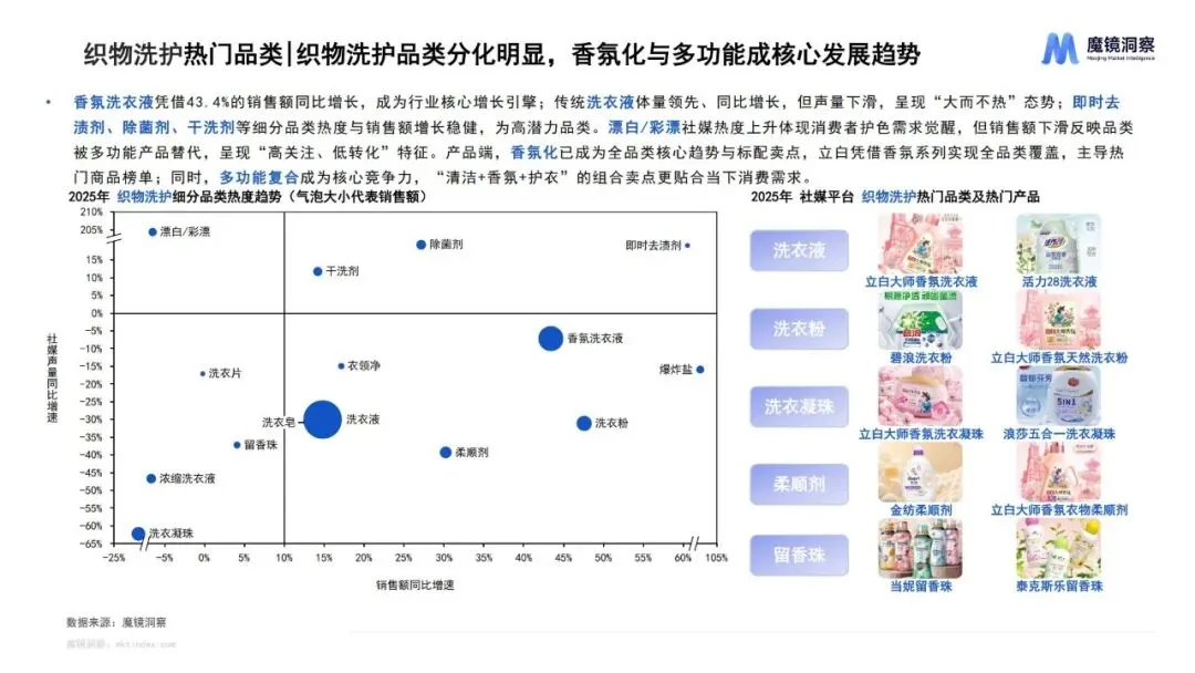 报告推荐|2025年织物与家居清洁市场趋势洞察报告(共67页 & 附下载)