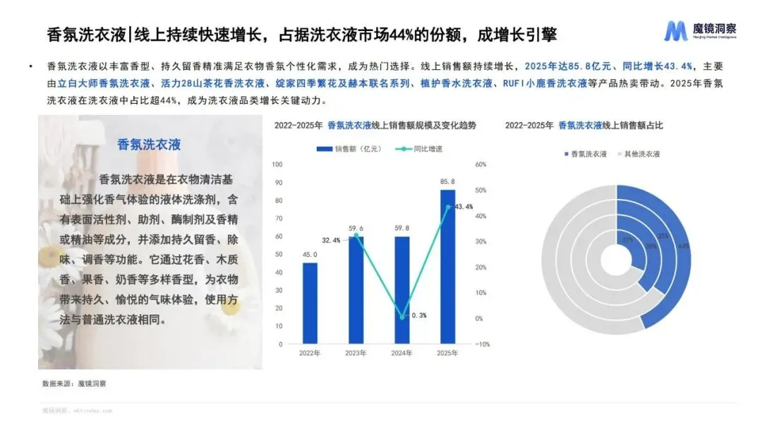 报告推荐|2025年织物与家居清洁市场趋势洞察报告(共67页 & 附下载)