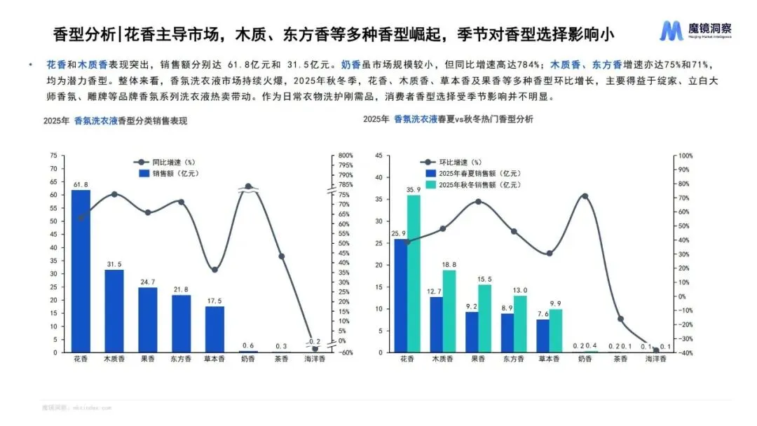 报告推荐|2025年织物与家居清洁市场趋势洞察报告(共67页 & 附下载)