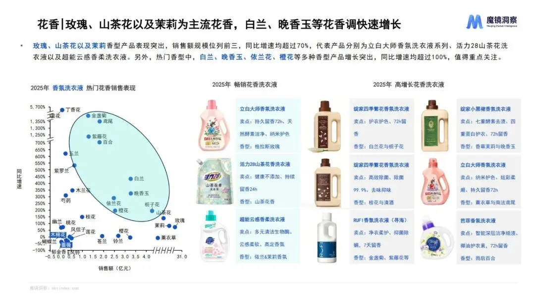 报告推荐|2025年织物与家居清洁市场趋势洞察报告(共67页 & 附下载)