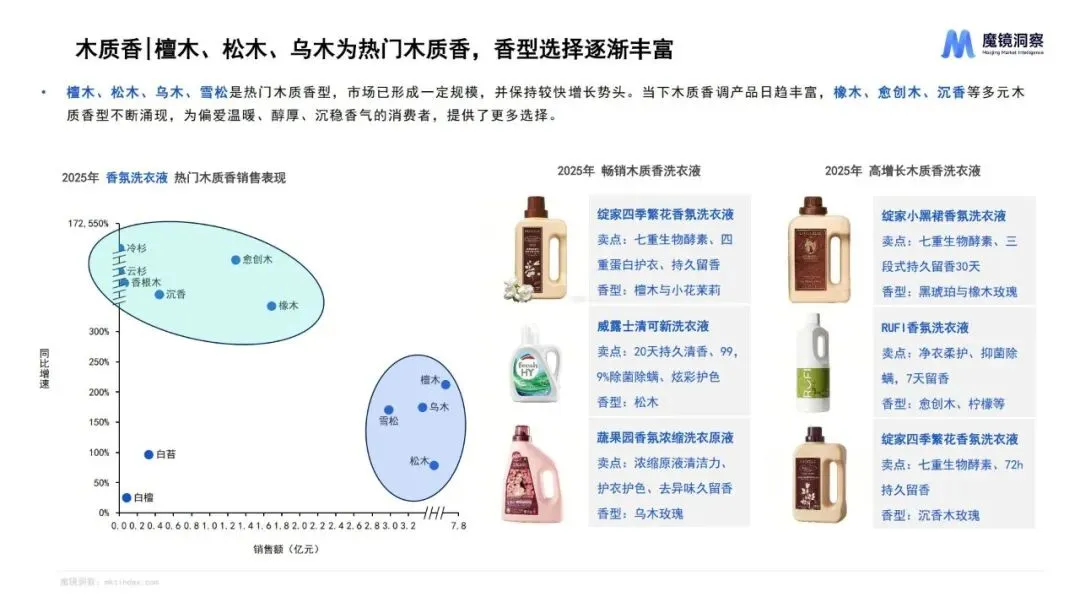 报告推荐|2025年织物与家居清洁市场趋势洞察报告(共67页 & 附下载)