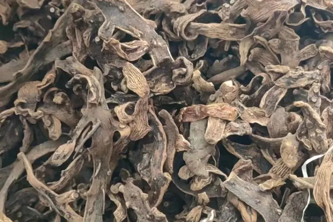 淡季涨价品种稀缺,这几个中小品种成为市场关注焦点