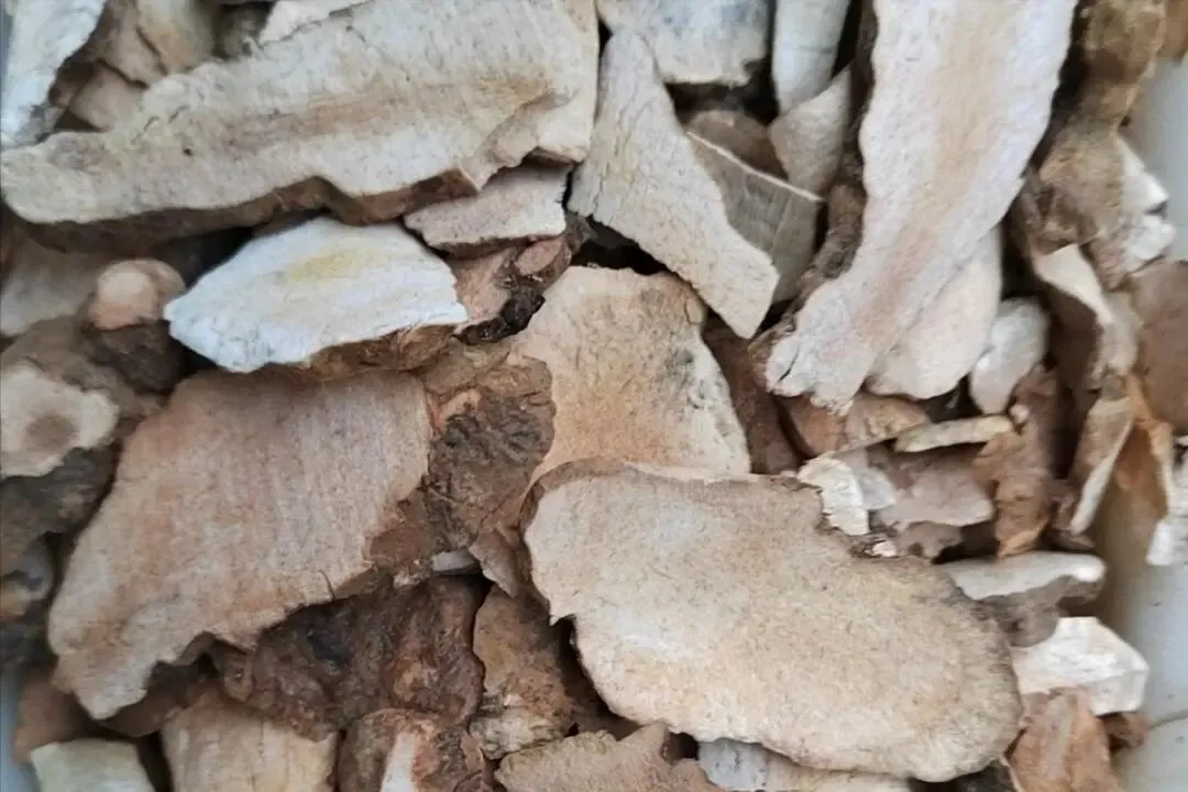 淡季涨价品种稀缺,这几个中小品种成为市场关注焦点