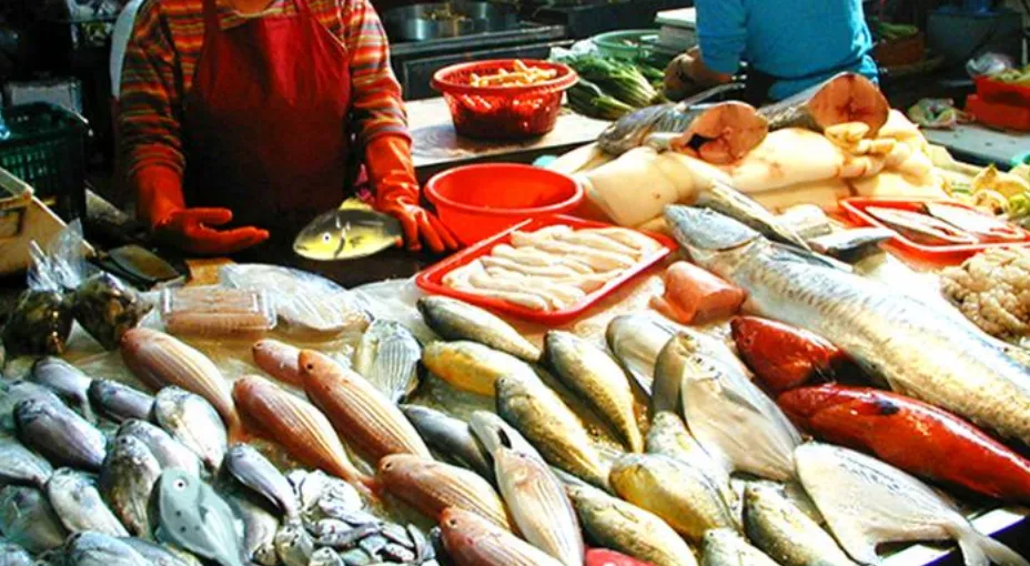 懂行人买鱼,专挑这4种市场常见的鱼,都是纯野生,目前很难人工大量养殖,放心吃