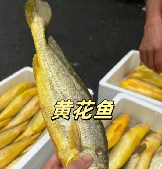 懂行人买鱼,专挑这4种市场常见的鱼,都是纯野生,目前很难人工大量养殖,放心吃