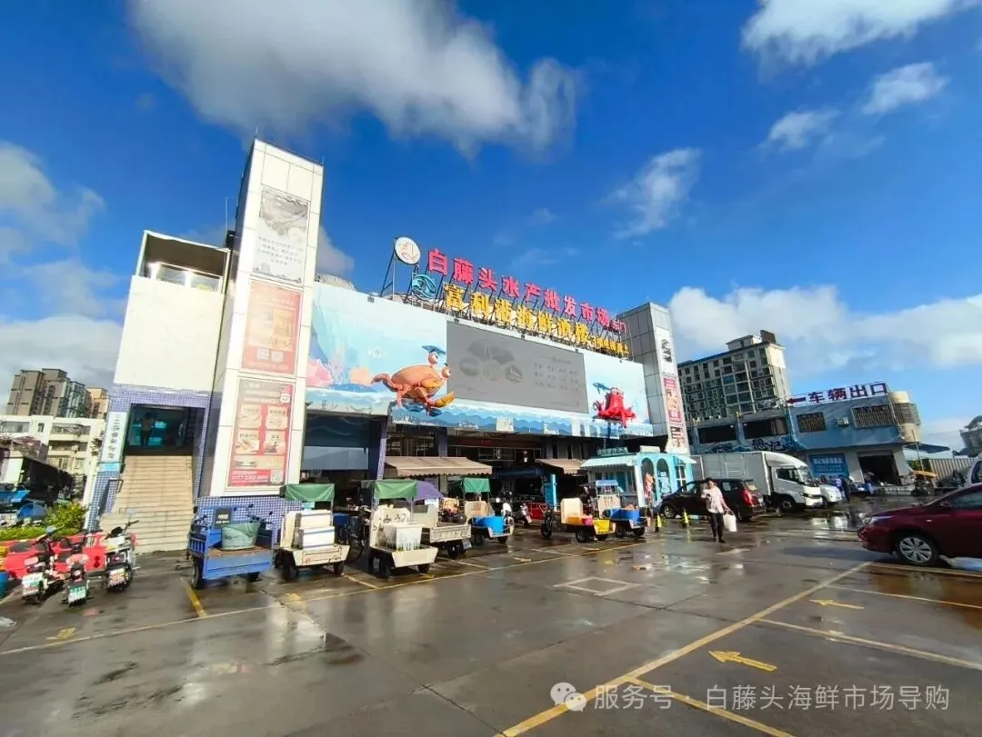 “虾”路相逢:珠海斗门白藤头海鲜批发市场海明虾终极攻略,从挑货秘籍到宴客菜式!说说海明虾为何备受青睐?这里有完美答案~