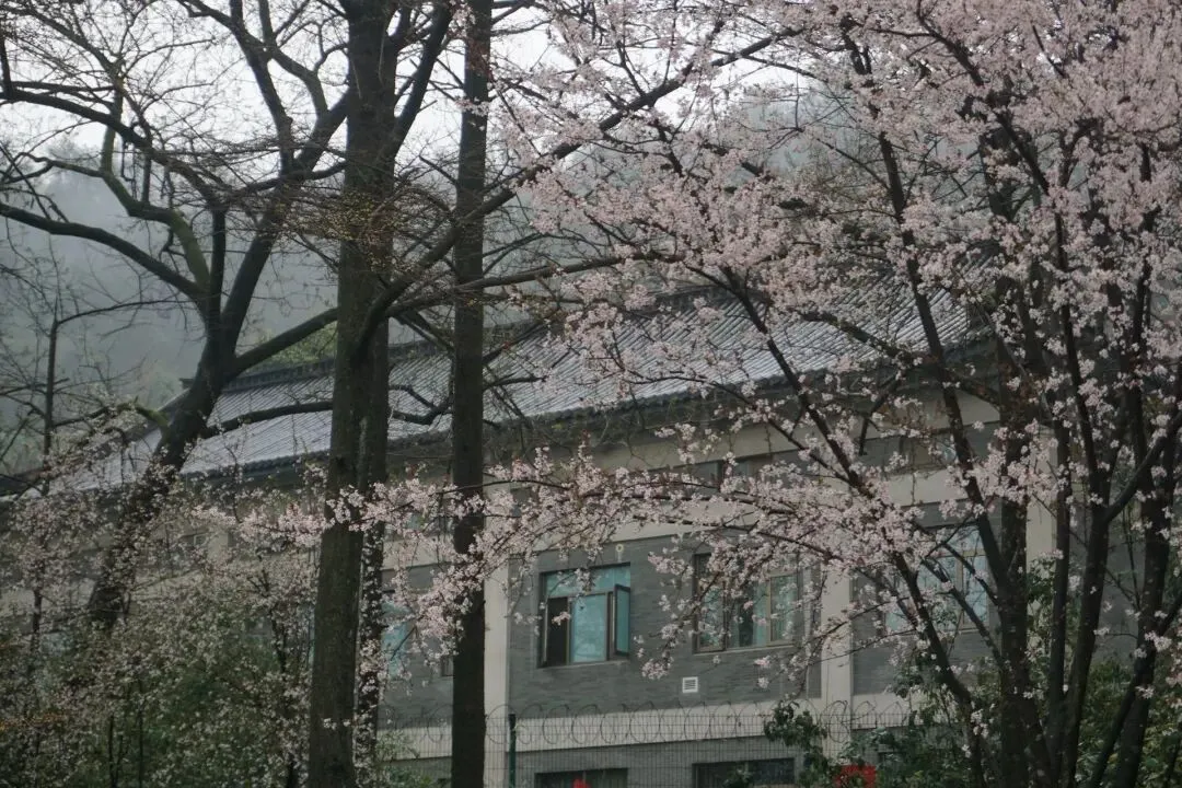 杭州的烟火气菜市场(二)-采荷农贸市场,老底子就是好吃!