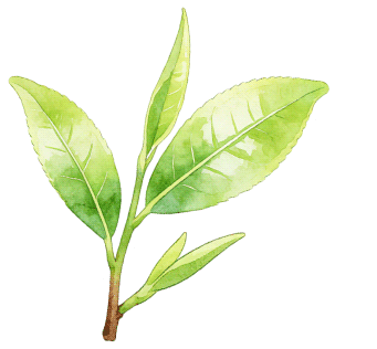 护航“绿杨春”!市场监管局严把春茶质量安全关