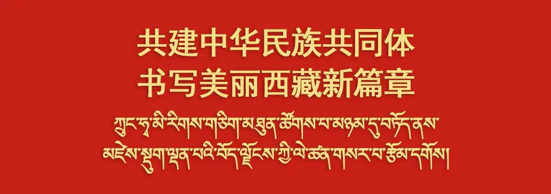 关于公开比选日喀则市康马县涅如边贸市场示范区提升改造项目工程部分招标代理机构的公告