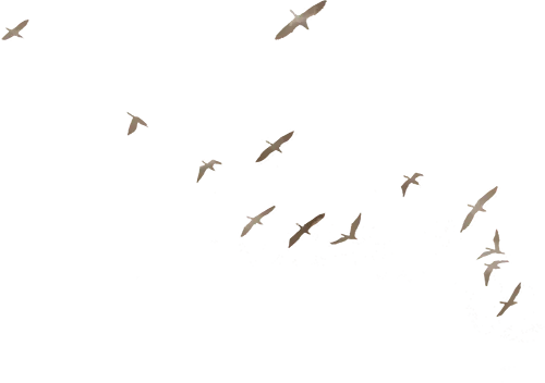 零工市场招聘信息