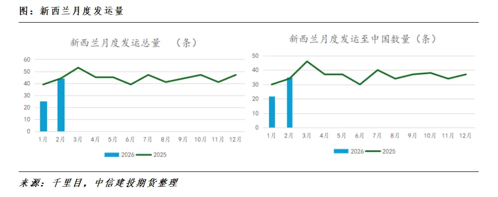山东市场实地验证:交割前的现货博弈与高价隐忧
