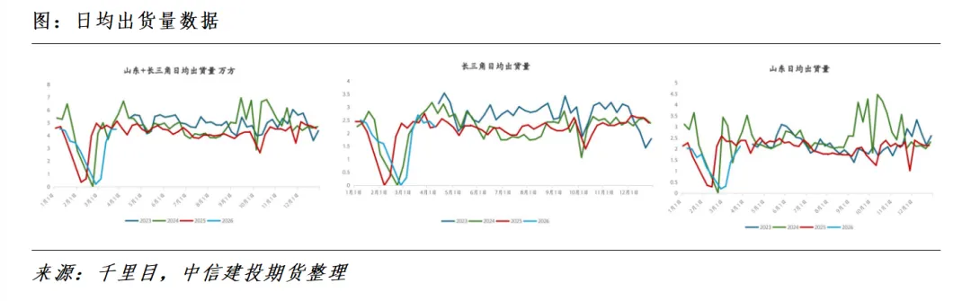 山东市场实地验证:交割前的现货博弈与高价隐忧