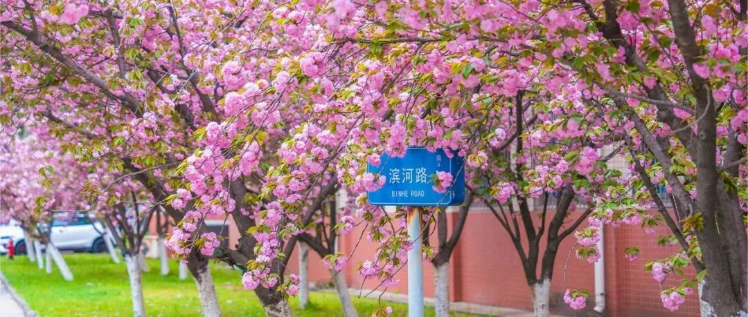 1000+企业入校,春招市场热度不减……