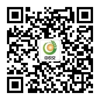 4月15日药材产地行情及药材市场行情快讯