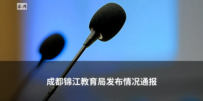 平安创建 | 市场监管总局披露罗马仕充电宝案