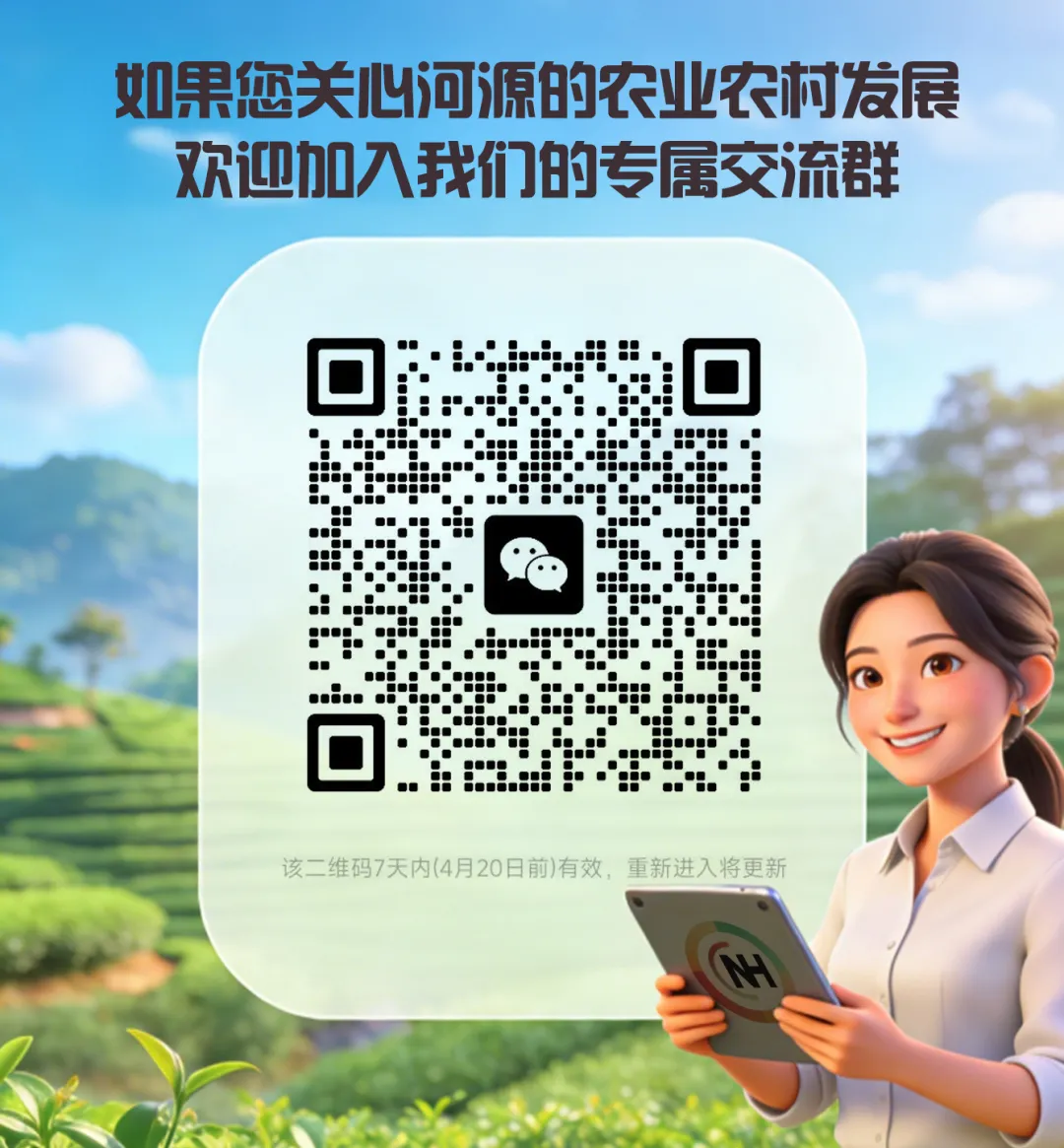 紫金县中心城区625㎡批发市场规划落定