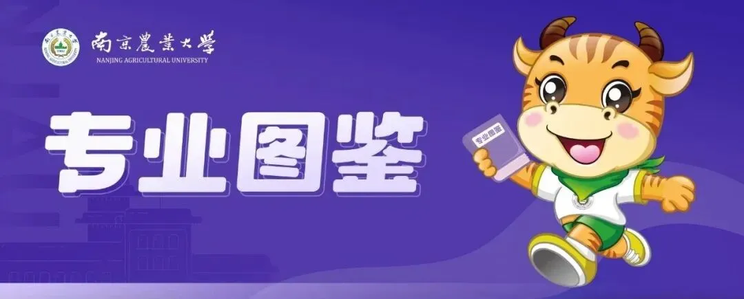 专业图鉴·「市场营销」专业