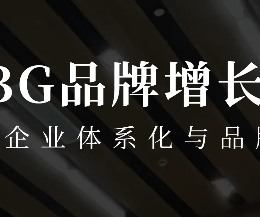 一文讲透:品牌资产如何落地到产品、营销、渠道、内容?