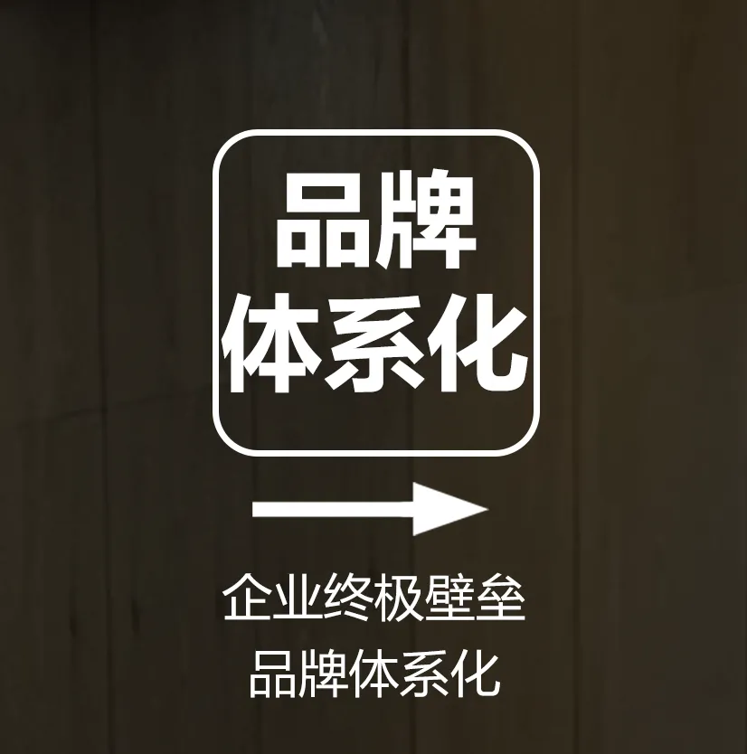 一文讲透:品牌资产如何落地到产品、营销、渠道、内容?