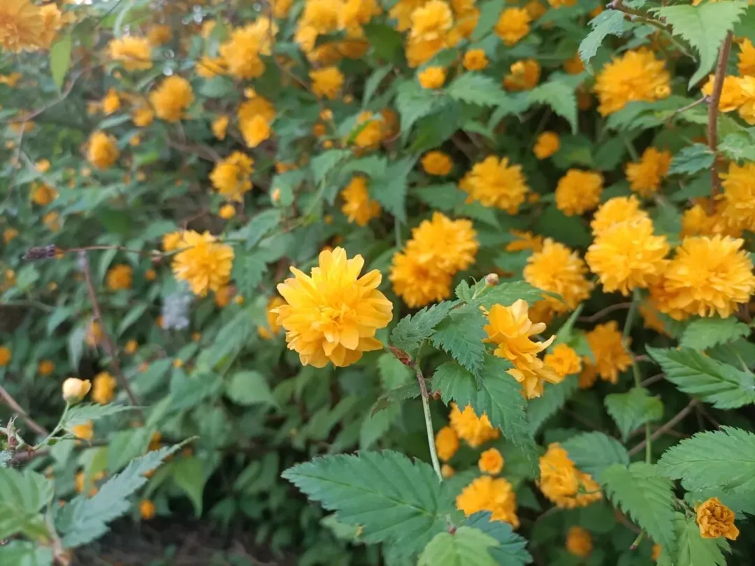 营销造富练功day6