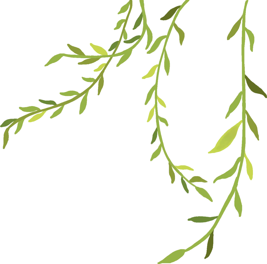 以市集育成长 以好物传温情——“跳蚤市场”里的生活实践活动