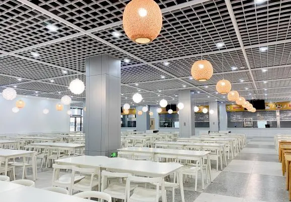 喜报!龙胜县零工市场开展“点对点”赴桂林比亚迪探岗活动